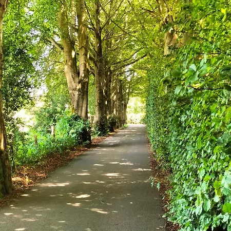 Les Adrets De Malmedy