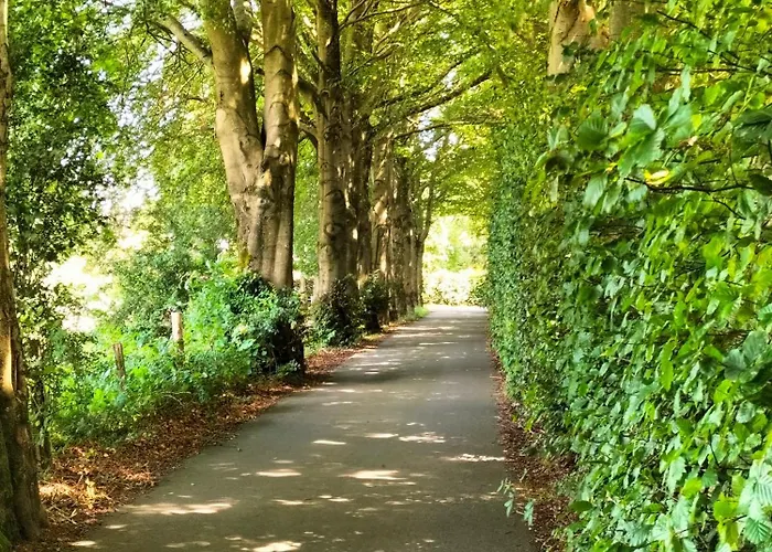 Les Adrets De Malmedy