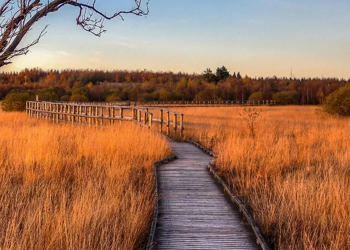 Vakantiehuis Les Adrets De